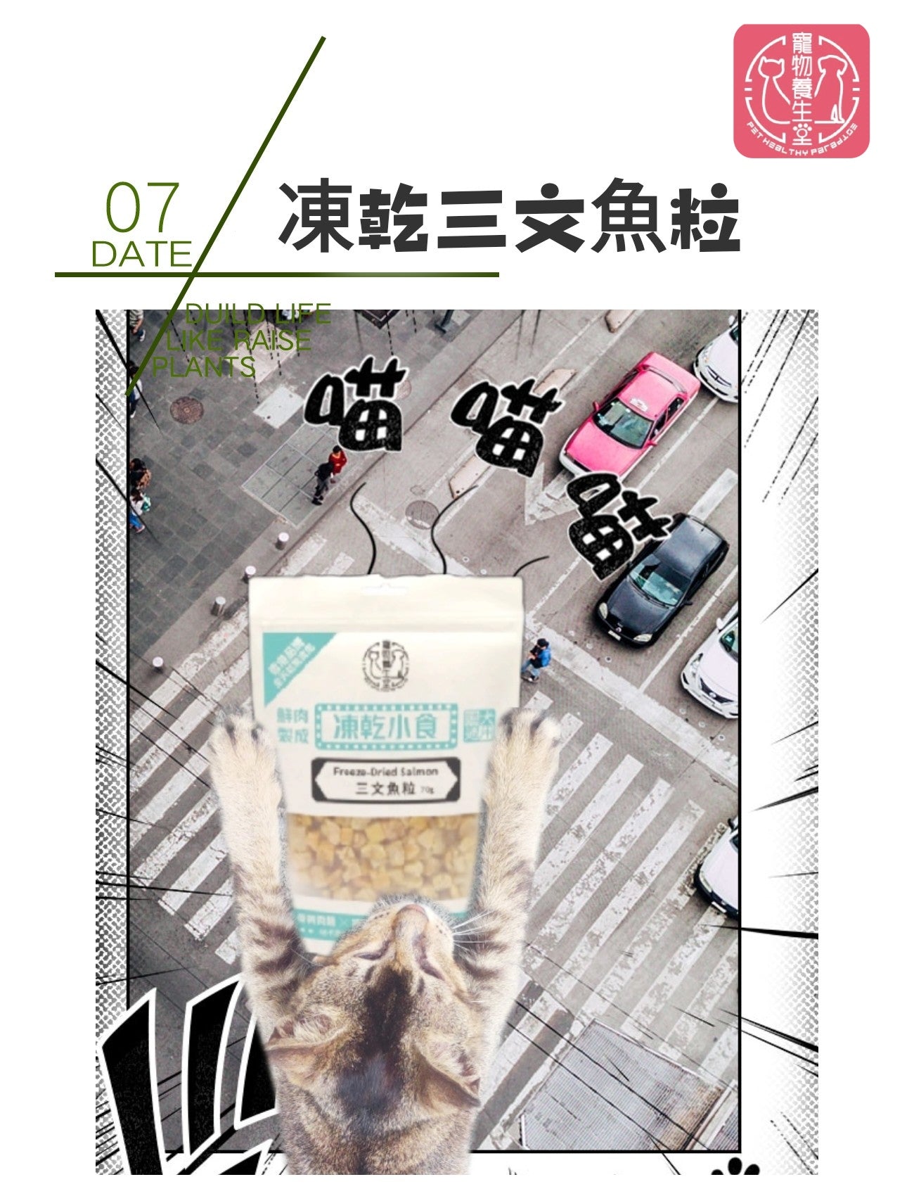 寵物養生堂 凍乾三文魚粒 70g