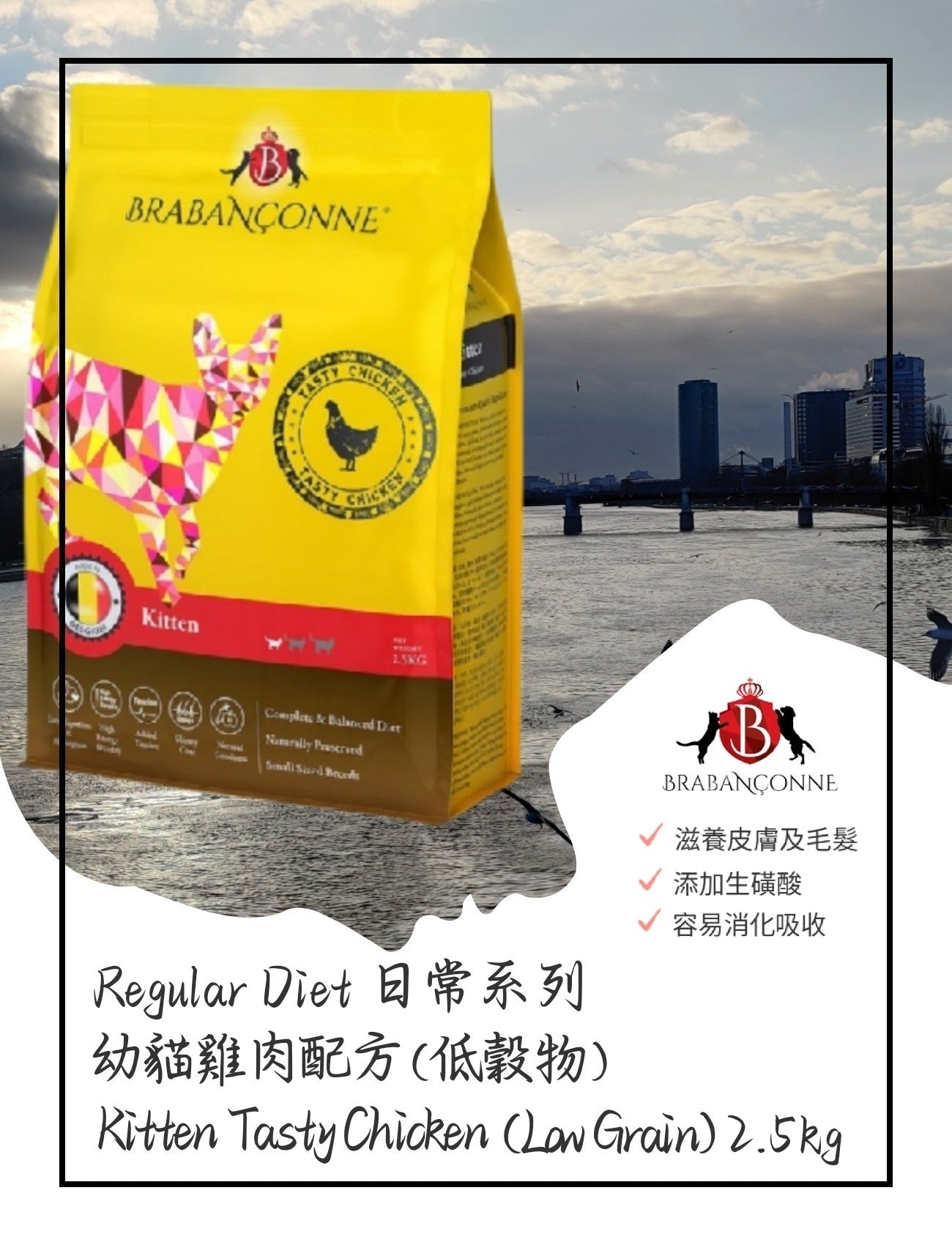 BRABANCONNE爸媽寵 日常系列 低穀物幼貓雞肉配方2.5kg