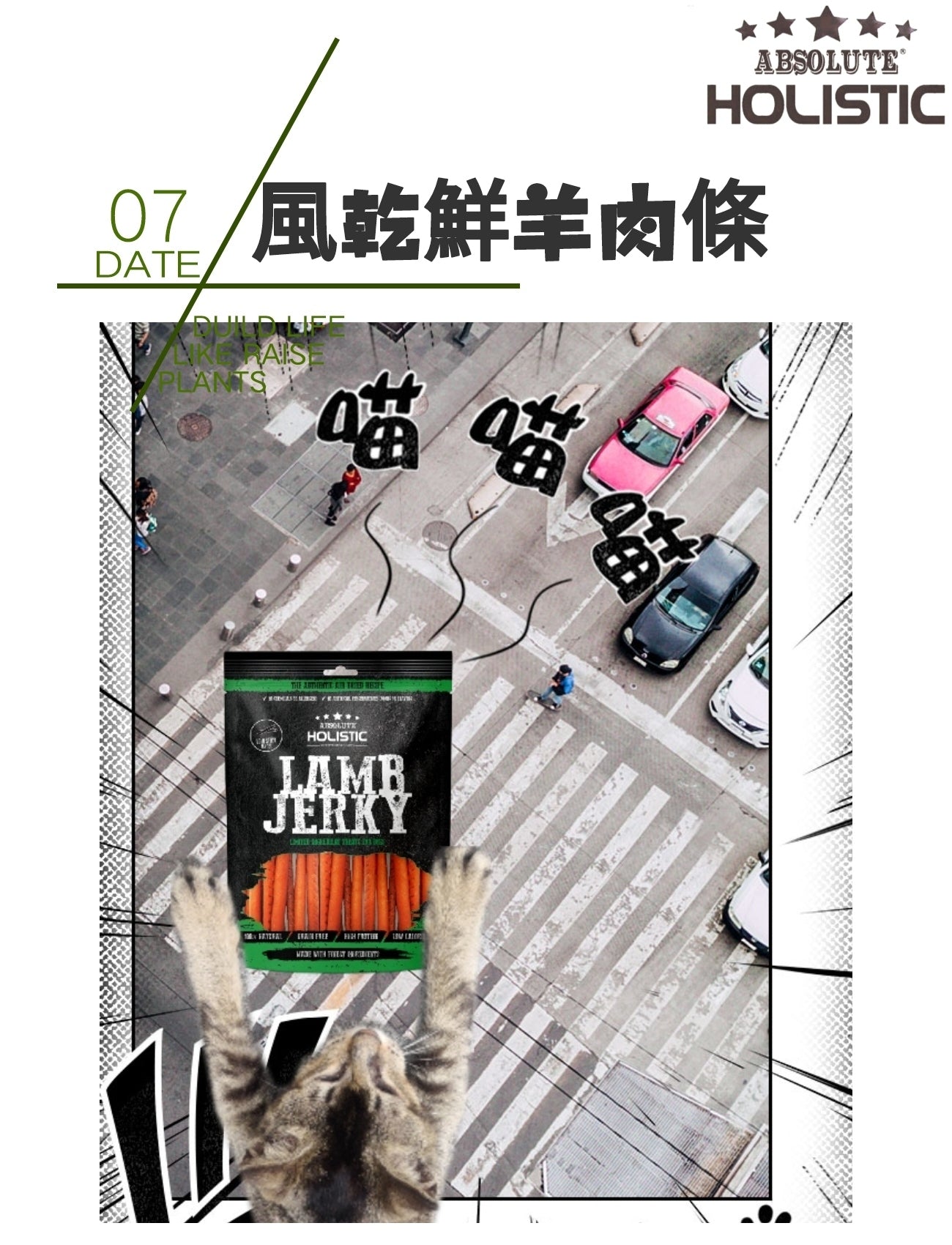 風乾鮮羊肉條 150g