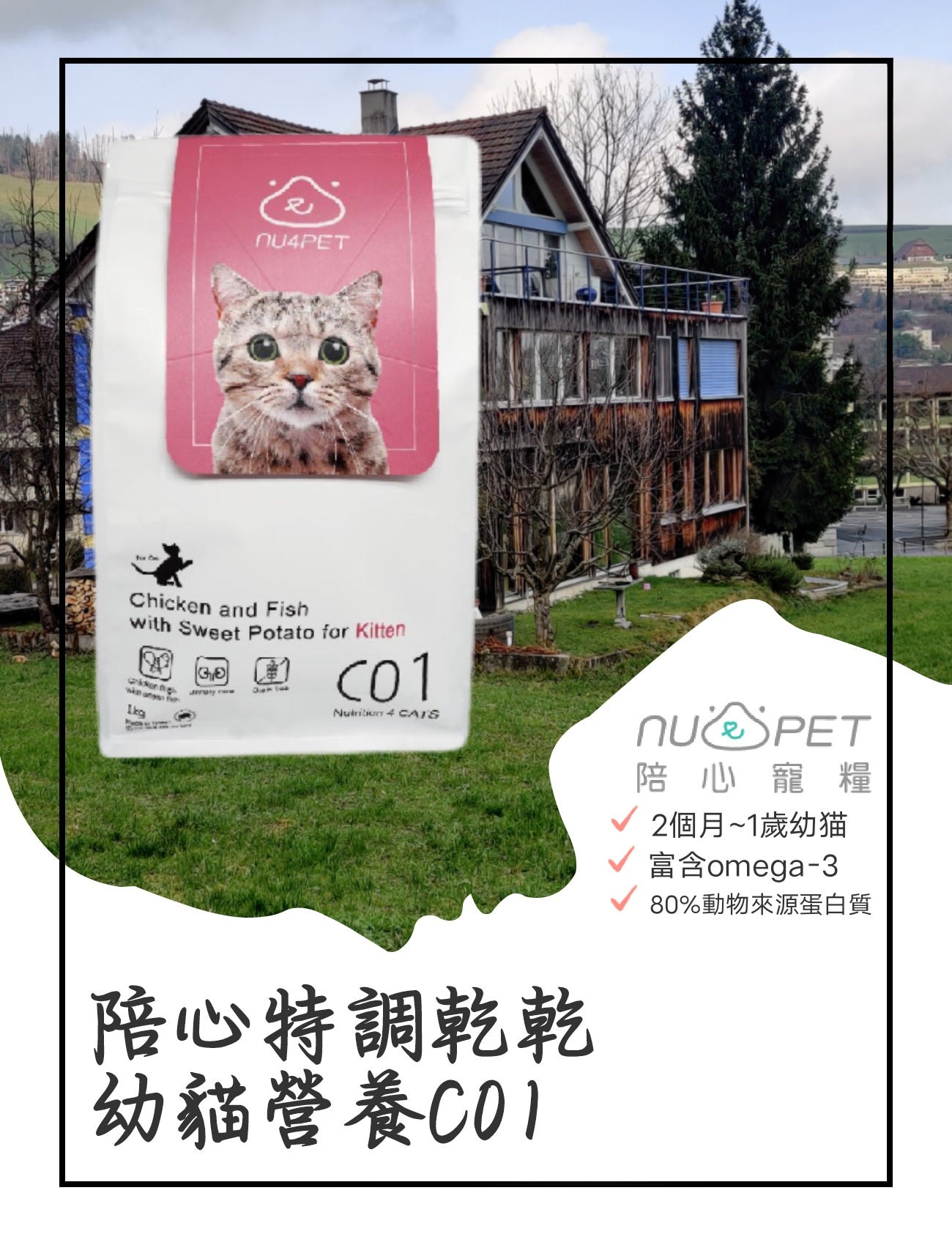 陪心特調乾乾 幼貓營養 C01 1KG