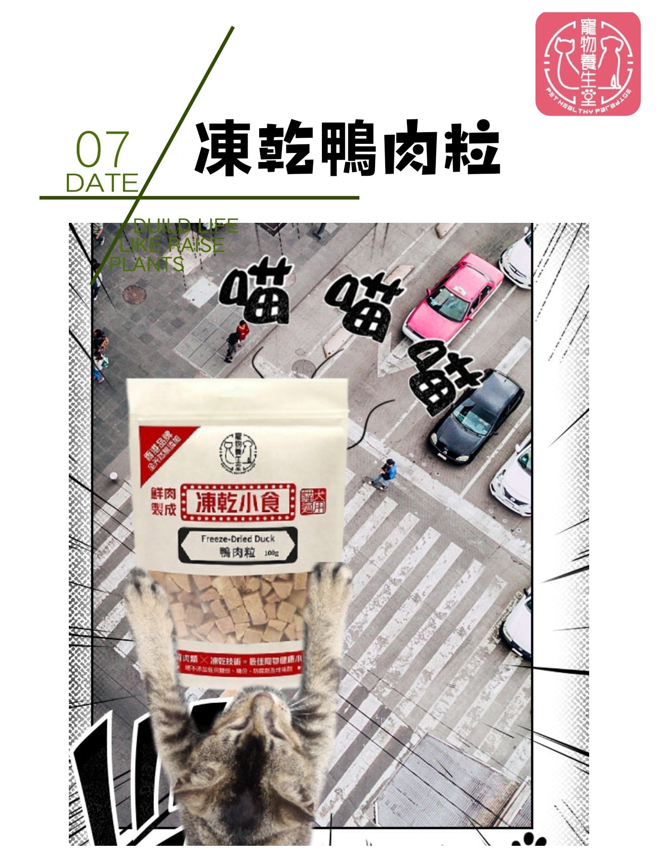 寵物養生堂 凍乾鴨肉粒100g