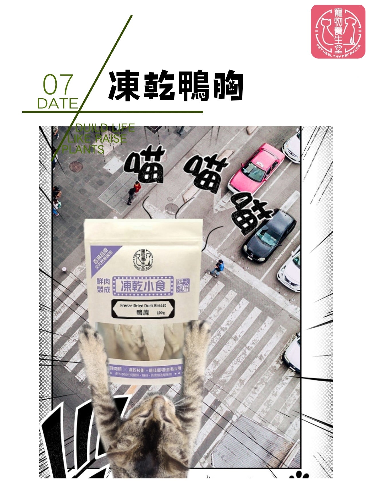 寵物養生堂 凍乾鴨胸100g
