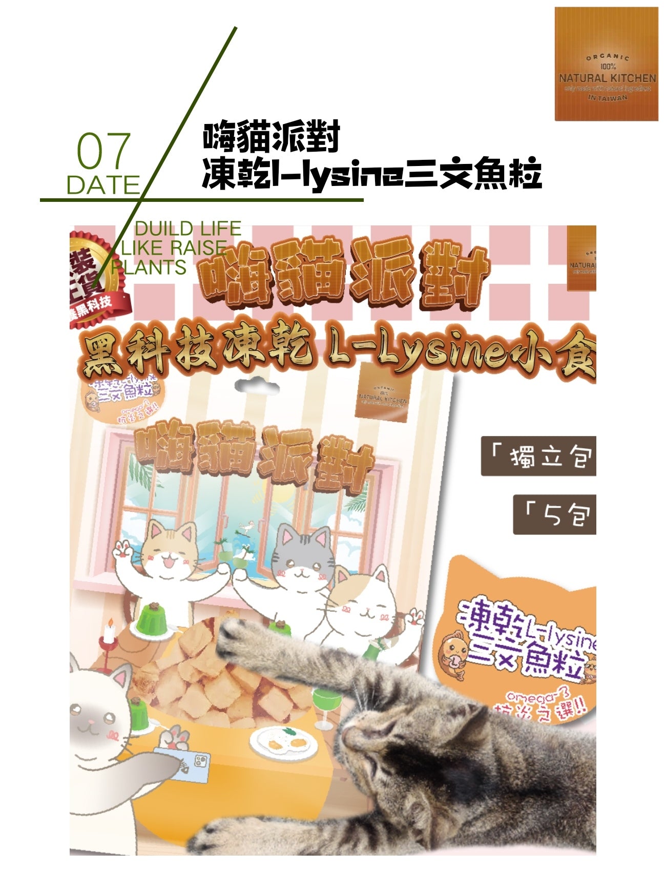 嗨貓派對-凍乾l-lysine 三文魚粒