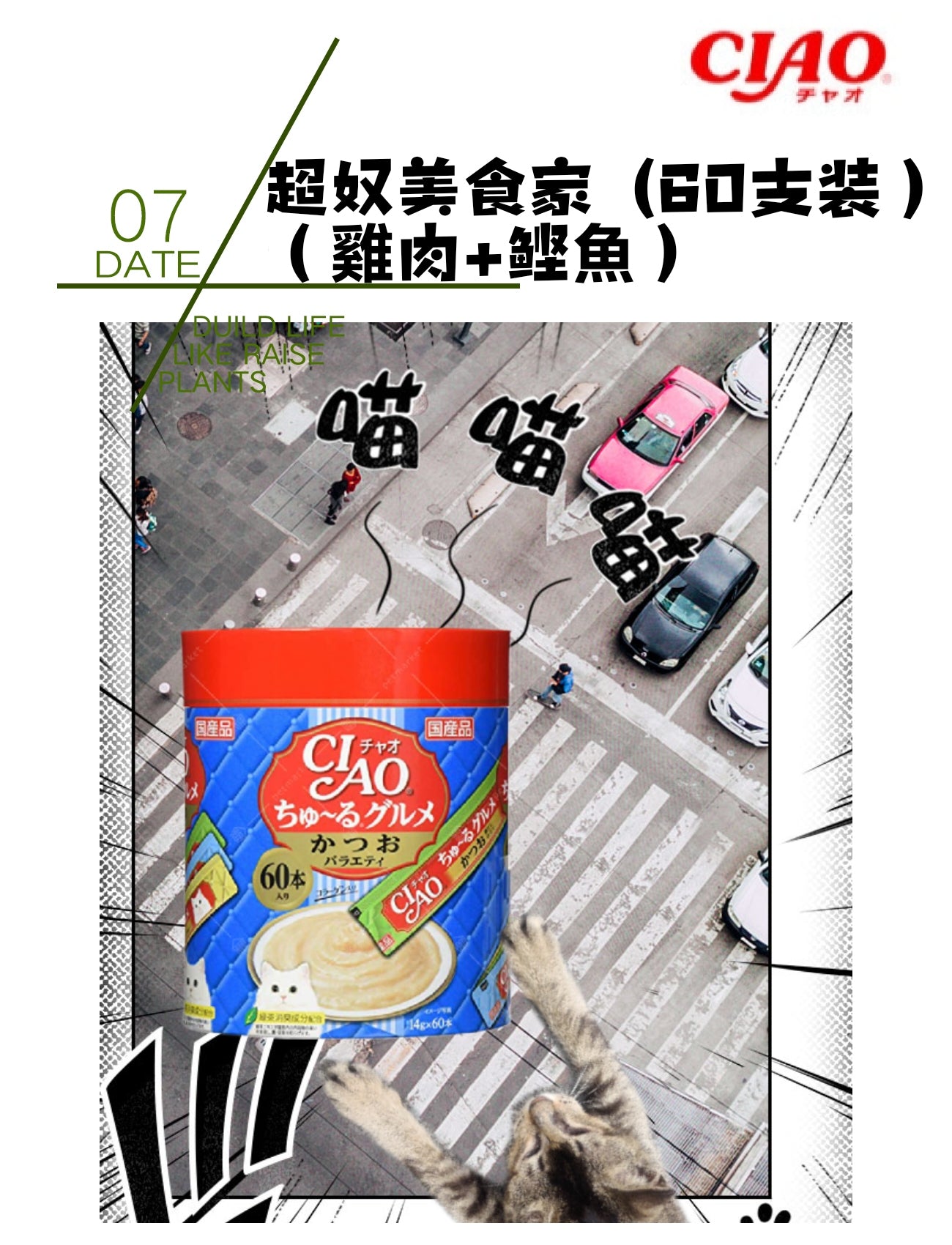 CAIO超奴美食家 (雞肉+鰹魚)(60支装)