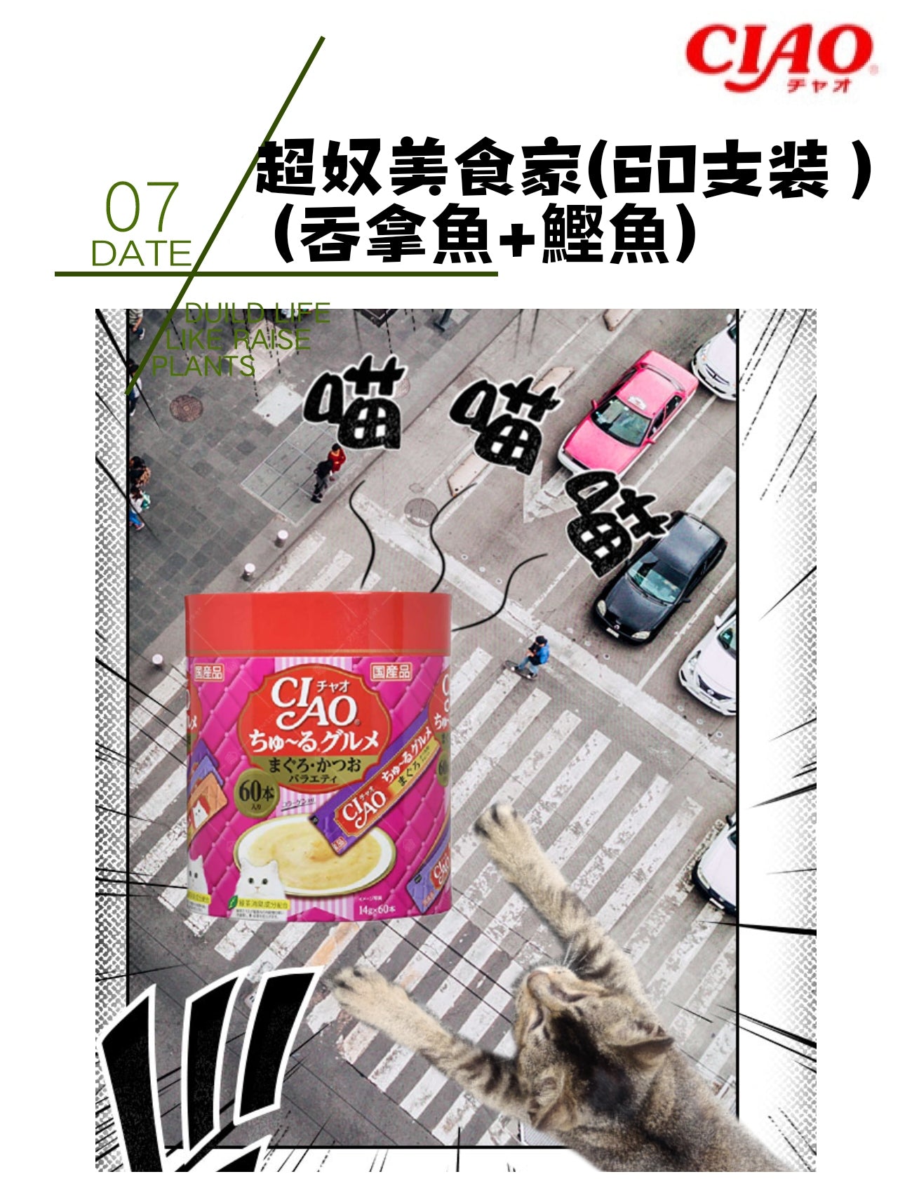 CIAO超奴美食家 (吞拿魚+鰹魚)(60支裝)