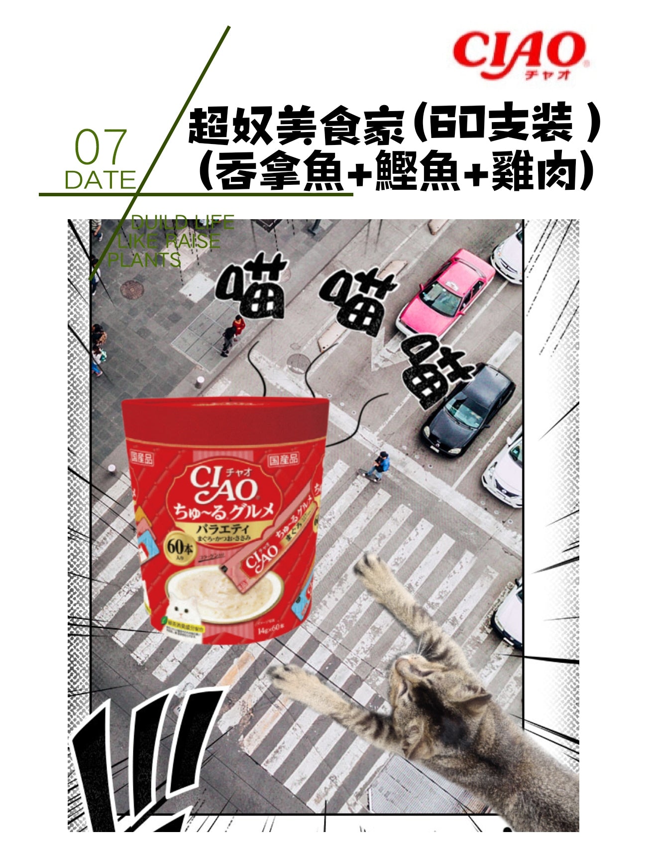CIAO超奴美食家( 吞拿魚+鰹魚+雞肉)(60支裝)