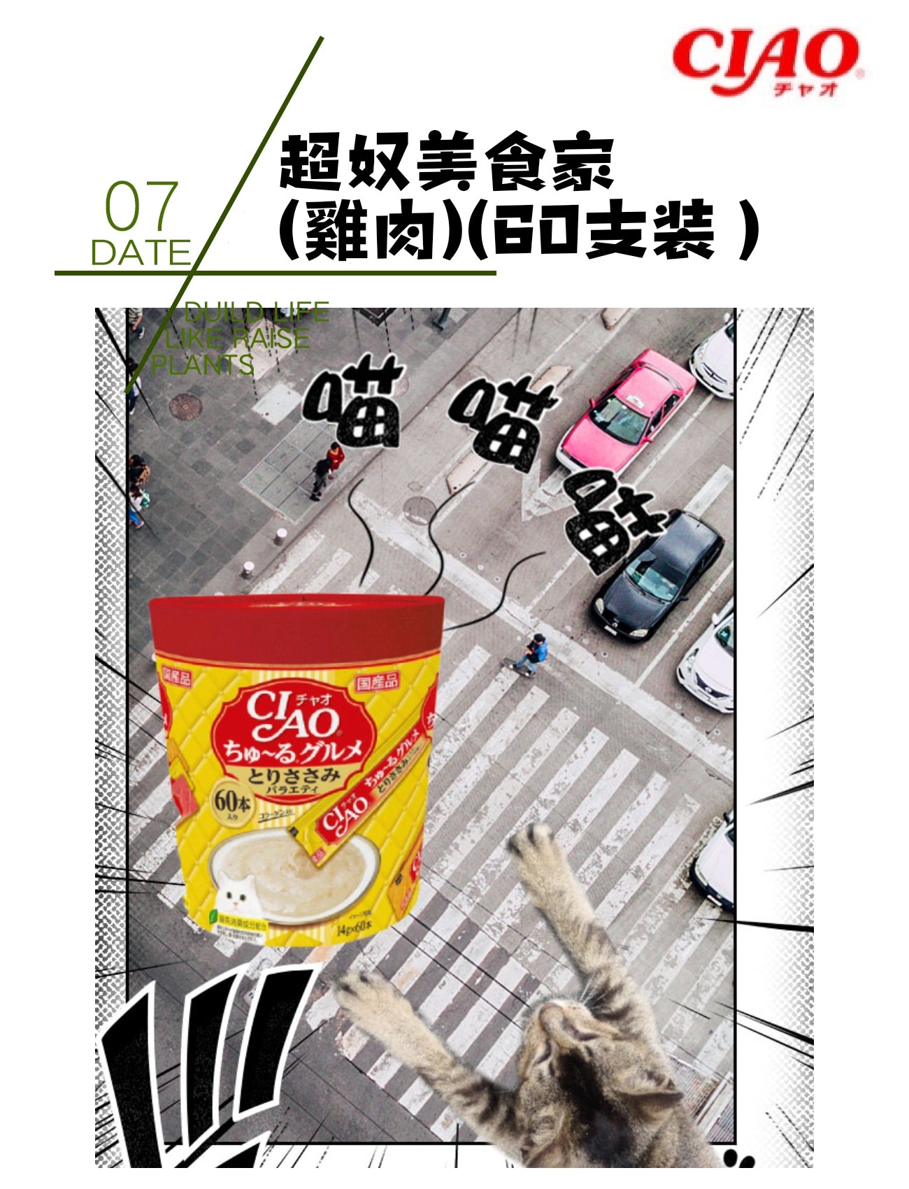 CIAO超奴美食家 (雞肉)(60支裝)