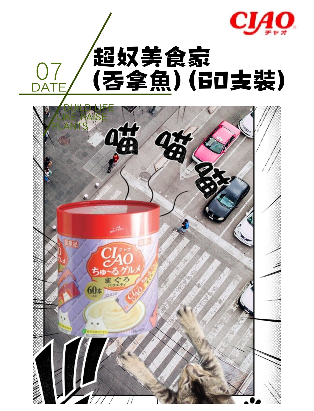 CIAO超奴美食家 (吞拿魚)(60支装)
