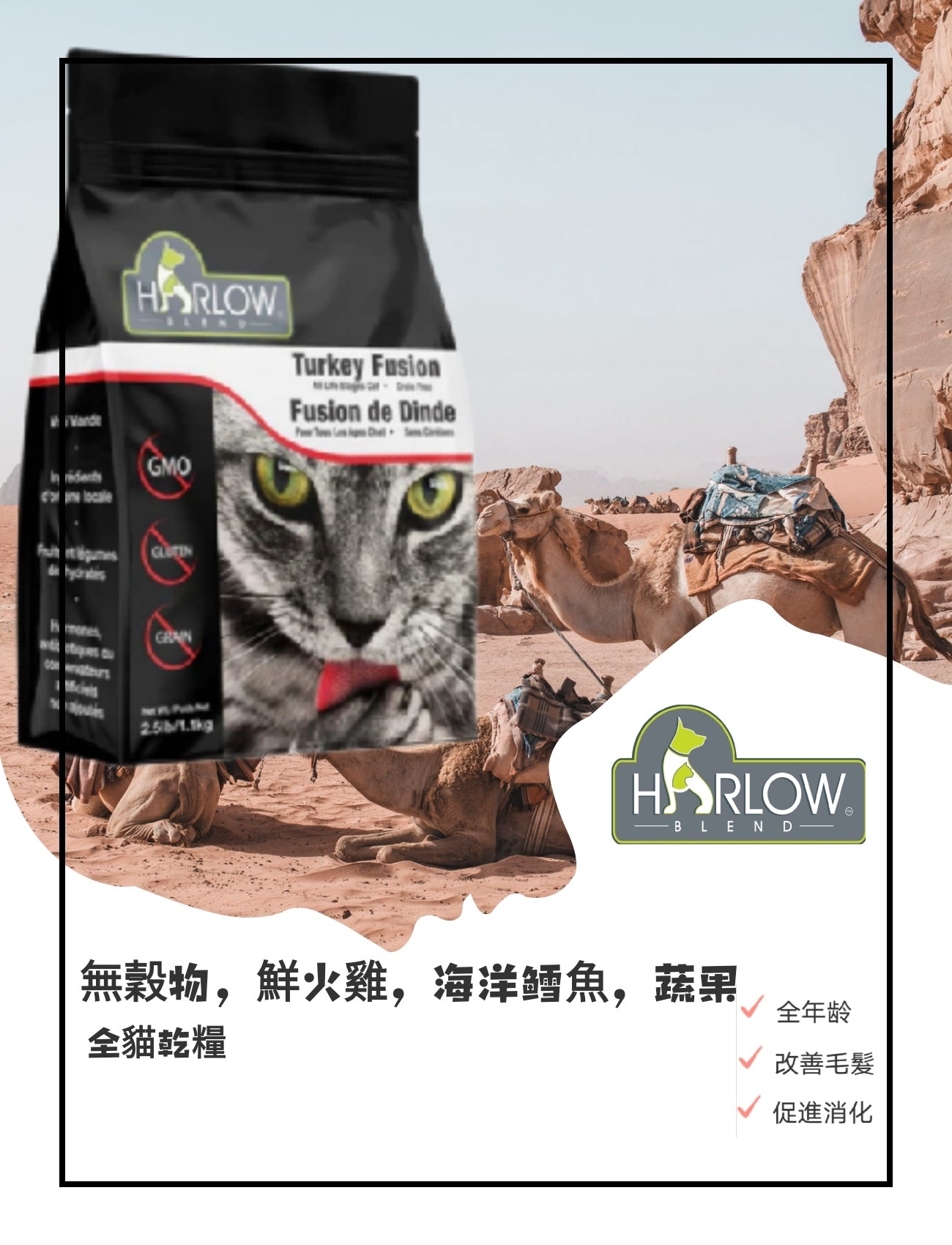 Harlow Blend 楓葉 無穀物鮮火雞，海洋鳕魚, 蔬果全貓乾糧 7.5LB