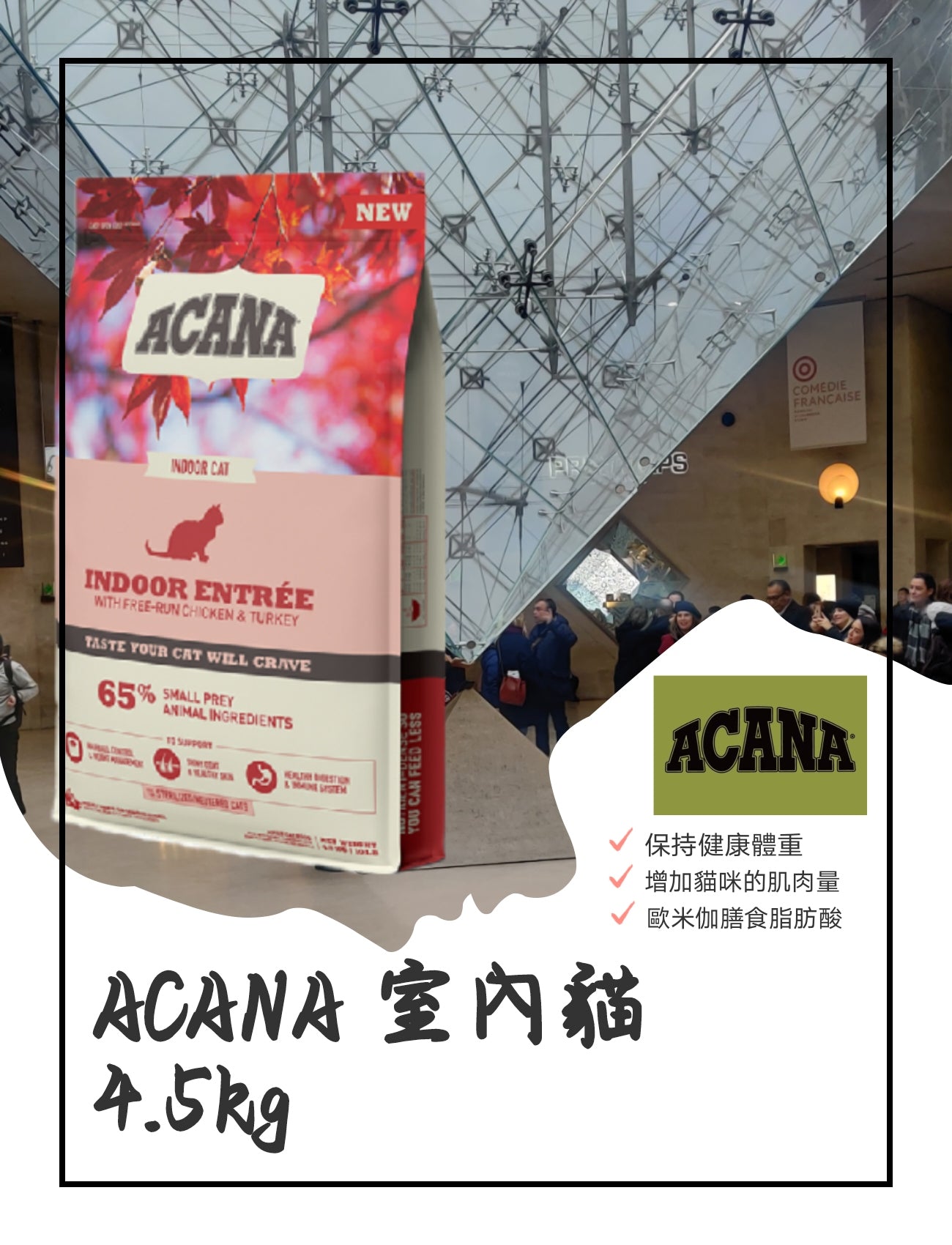 ACANA 室內貓 4.5kgk