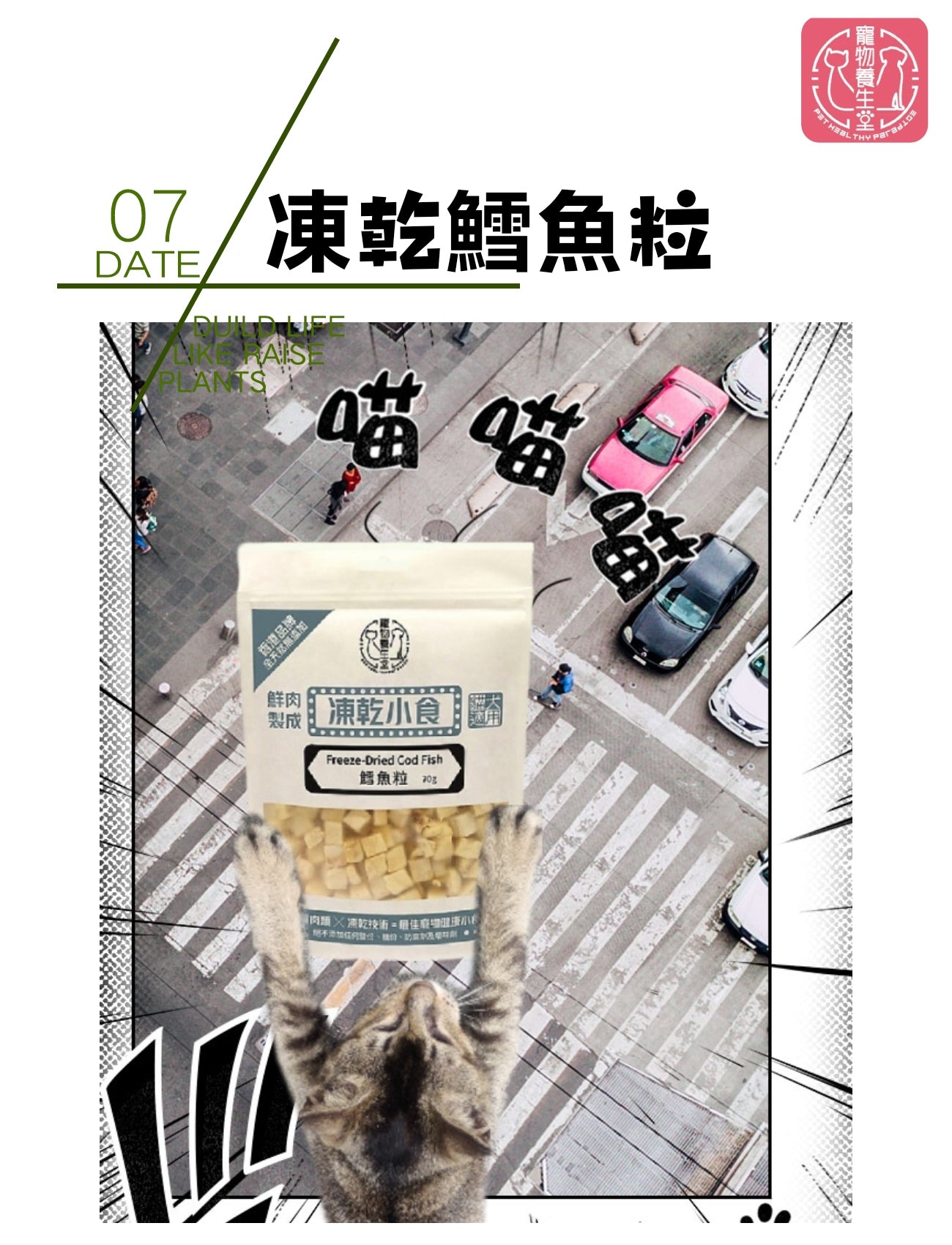 寵物養生堂 凍乾鱈魚粒70g